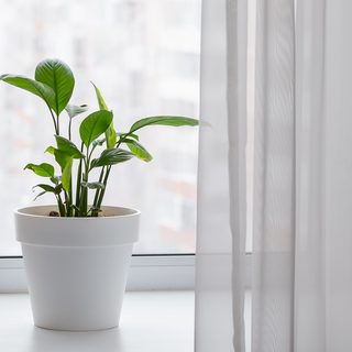 데이로그 프로필 사진