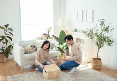 거실 생활 예시 — 소파와 화분이 놓인 밝은 거실