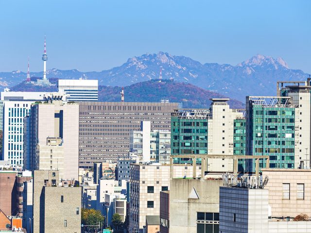 업무 공간 예시 — 식물이 놓인 개인 업무 책상