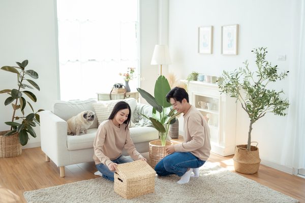 내추럴 우드 스타일