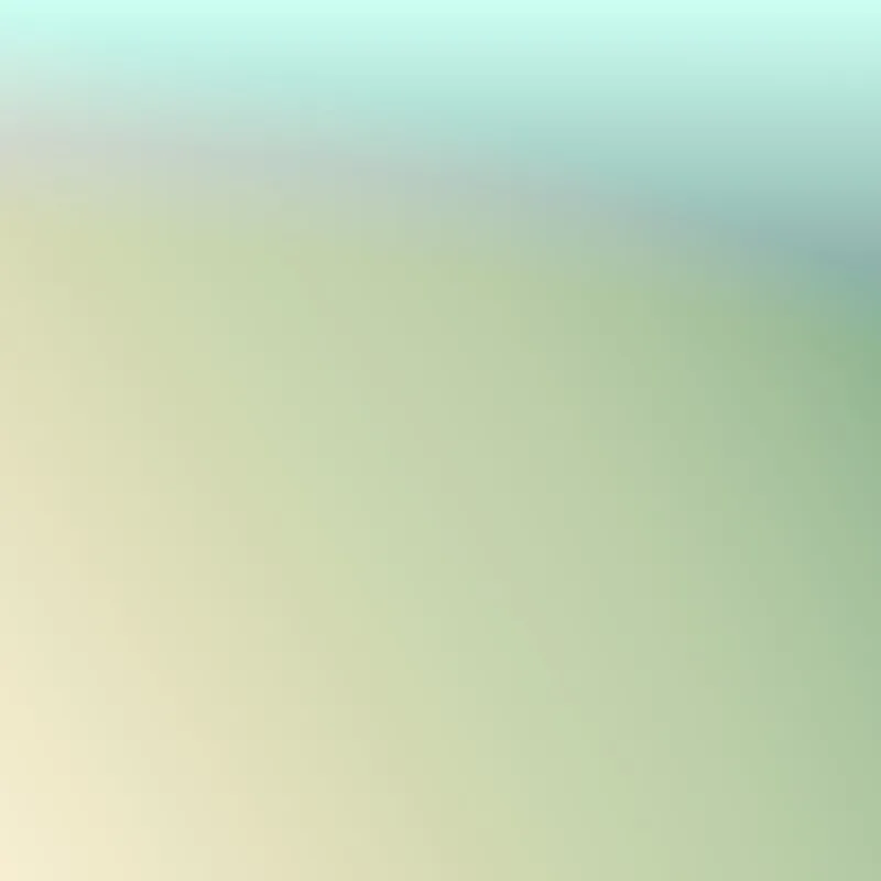 수납 정리함 6종