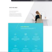 마케팅 / 디자인 D형