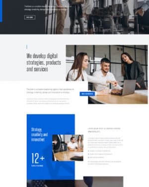 마케팅 / 디자인 H형