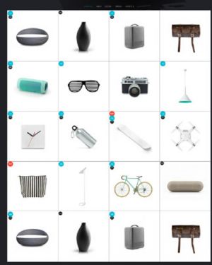 전자 쇼핑몰 C1형