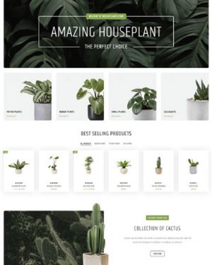 식물/화분 쇼핑몰 E형