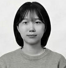 다국어/플러그인 전문가