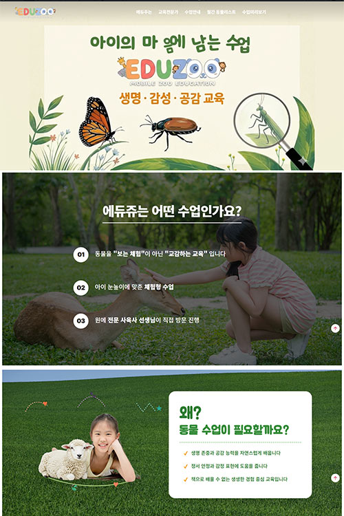 에듀쥬 비즈니스-294,000원