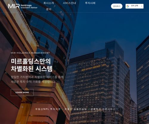 미르홀딩스